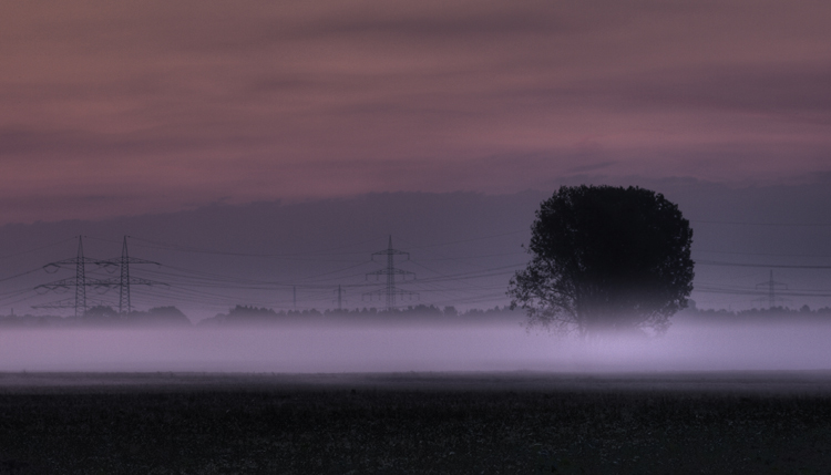 Nebel_004_5_6.jpg