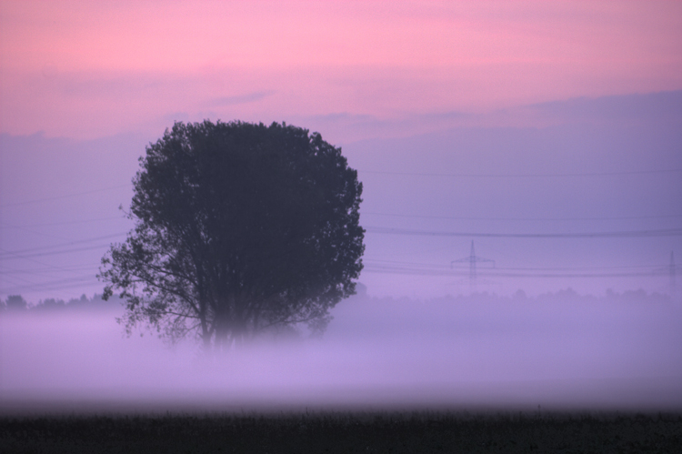 Nebel_007_8_9.jpg