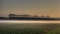 Bodennebel_056_7_8.jpg
