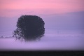 Nebel_007_8_9.jpg