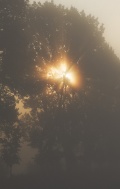 004.jpg