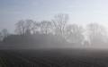 Nebelhof.jpg