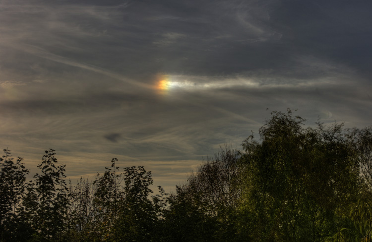 NS_028_6_7.jpg