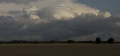 Pileus_001.jpg