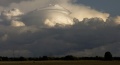 Pileus_002.jpg