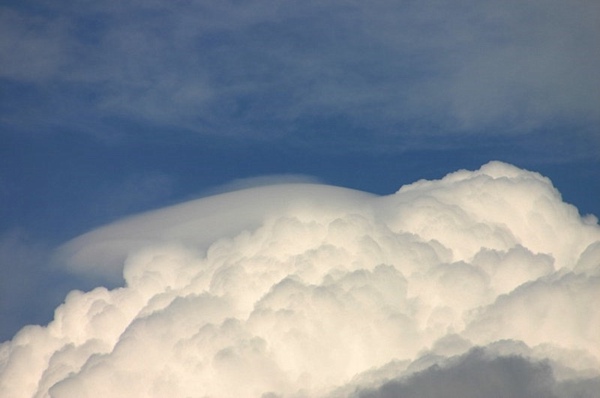 Pileus_160806_010.jpg