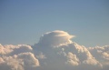Pileus_011105_011.jpg