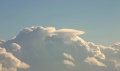 Pileus_011105_016.jpg