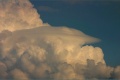 Pileus_120805_017.jpg