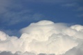 Pileus_160806_004.jpg