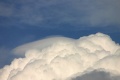 Pileus_160806_010.jpg