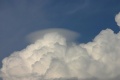 Pileus_160806_013.jpg