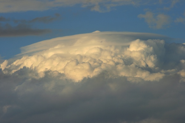 Pileusb_271008.jpg