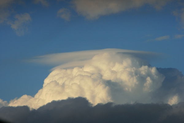 Pileusk_271008.jpg