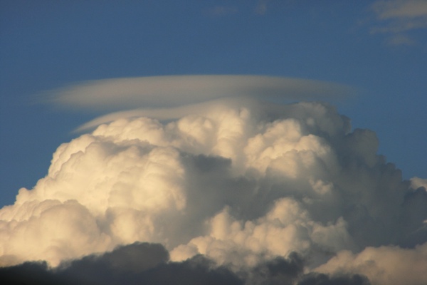 Pileuskappe_271008.jpg