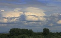 Pileus070708f.jpg