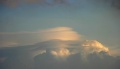 Pileus_230808.jpg