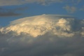 Pileusb_271008.jpg