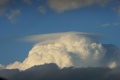 Pileusk_271008.jpg