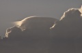 Pileus_008.jpg