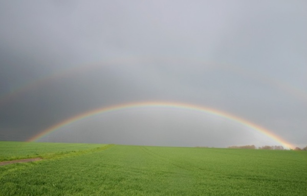 300406_Wetterbilder_011a.jpg