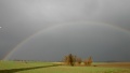 310306_013.jpg