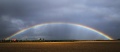 Regenbogen_026.jpg
