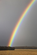 162.jpg