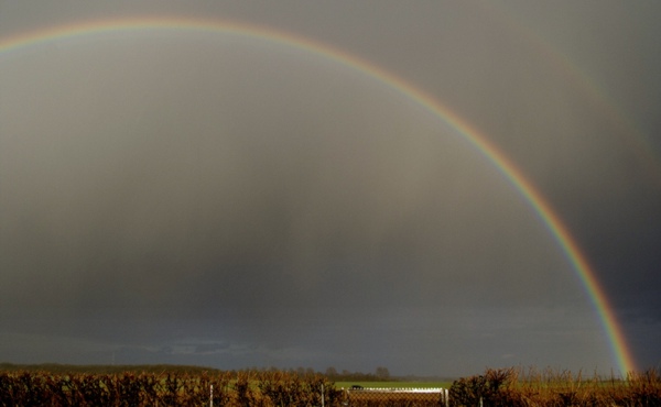 Regenbogen_270309.jpg