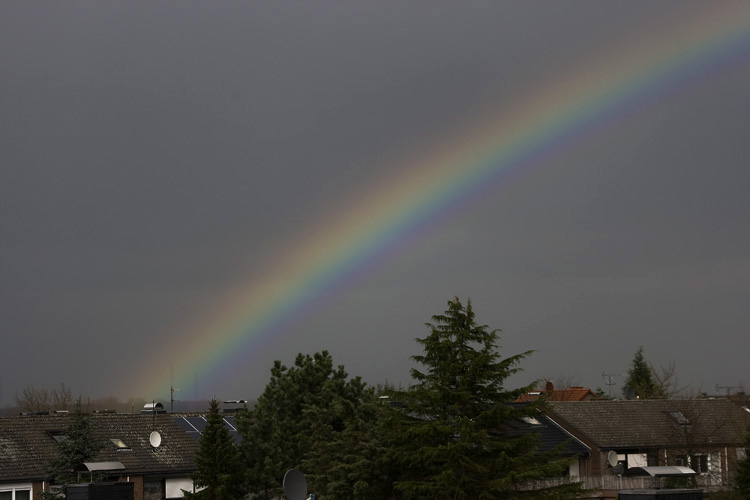 Regenbogen_002.jpg