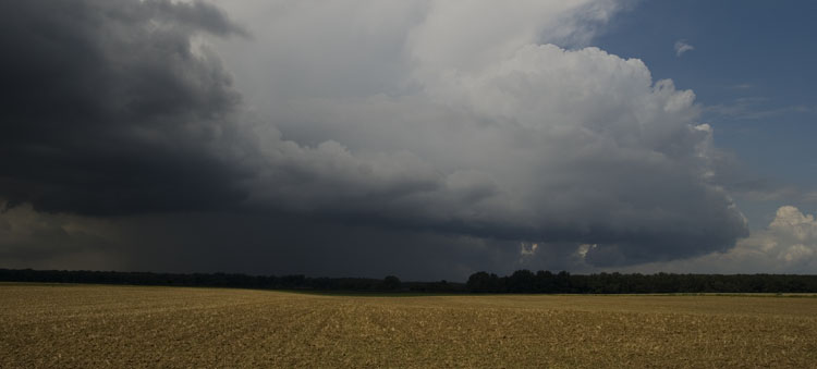 Schauer_006.jpg