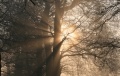 Sonnenstrahlen.jpg