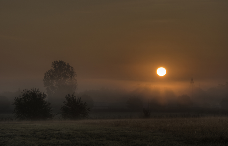 Morgensonne_044_5_6.jpg