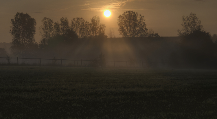 Nebel_087_6_5.jpg