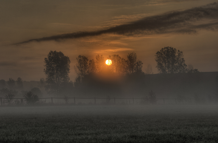 Nebel_Sonne067_8_9.jpg