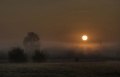 Morgensonne_044_5_6.jpg