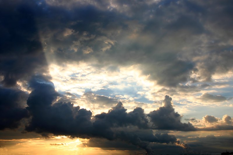 Su_011005_007.jpg