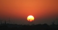 Su_051005.jpg