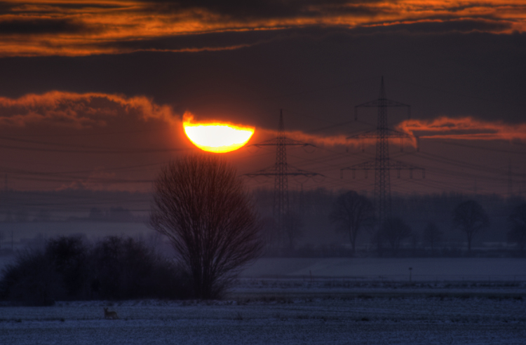 Januar_049-50_51.jpg