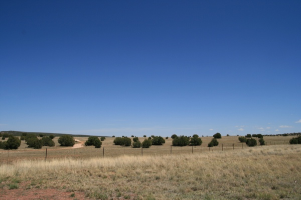 USA_Praerie_6830.jpg