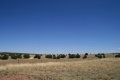 USA_Praerie_6830.jpg