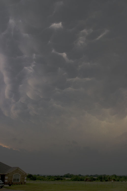 Mamatus1300.jpg
