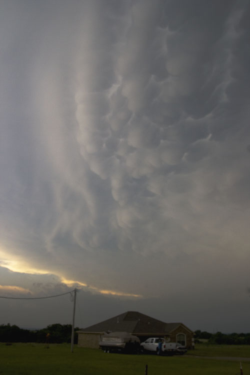Mamatus_1295.jpg