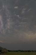 Mamatus1300.jpg