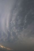 Mamatus_1291.jpg