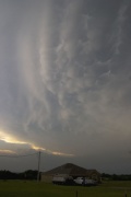 Mamatus_1295.jpg