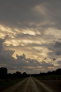 Mamatus_1366.jpg