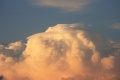 USA_Pileus_050.jpg
