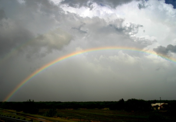 USA_Regenbogen__6658.jpg