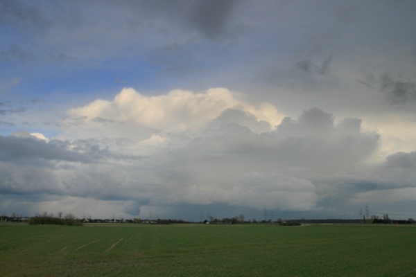 Wallcloud_4.jpg